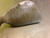 Used Ping EYE 2 BLACK DOT Golf Wedge Mens RH Sand Wedge 11339-S000201941 View 2