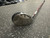 Used Maxfli 4I/21 Mens Hybrid Club LH 7 Hybrid 11162-S000453403 View 2