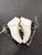 Used FIGURE SKATES WomensFigure Skate White Senior 8 11726-S000295861 View 2