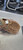 Used Champro 12 BB/SB Glove RH Throw None 12" 11497-S000157635 View 1