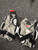 Used STX STALLION 900 Lacrosse Arm Pads/Guards White LG 11162-S000453490 View 2