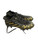 Used Adidas FREAK Adult FB Cleats Black And Gold Senior 7 11884-S000063479 View 1