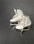 Used Jackson MYSTIQUE Girls Figure Skate White Youth 11.0 11821-S000032243 View 1