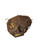 Used Wilson A800 BB/SB Catchers RH Throw Brown 32" View 2