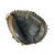Used Rawlings GAMER CCM325BG BB/SB Catchers RH Throw Black 32 1/2" 10292-S000332243 View 2
