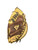 Used PRODIGEY LINE AGC98 BB/SB Catchers RH Throw Brown 29" View 2