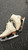 Used Riedell 101 Girls Figure Skate White Youth 10.0 11162-S000453959 View 12