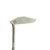 Used Bobby Grace THE LITTLE LADY Mens Putter RH 11484-S000304020 View 2