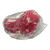 Refurbished Nationals Cap Yth Red 47Brand 11947-96P47WASHMVPYTH View 3