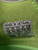 Used Adidas ICON VI Boost Prism Metal Baseball Cleats Size 14 11742-S000530941 View 10