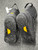 Used Rossignol EXCITE BOA Mens Snowboard Boots Black Senior 12 11726-S000296249 View 3