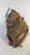Used Rawlings PLAYER PREFERED BB/SB Catchers LH Throw Brown 33" 11727-S000204383 View 1