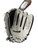 New RAWLINGS RSB GLOVE 12 RHT 11774-RAWRSB120GB-60 View 2