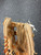 Used Wilson A2381 BB/SB Glove RH Throw Brown 10" 11726-S000296276 View 3