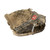 Used Louisville Slugger PLAYERS SERIES BB/SB Glove LH Throw Brown 12 1/2" 11813-S000346694 View 2
