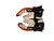 Used STX SURGEON Lacrosse Gloves Mens White LG 11847-S000035497 View 1