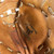 Used Mizuno 12.5 MIZUNO 1B RH GLOVE BB/SB First Base RH Throw Brown 12 1/2" 11749-S000202068 View 4