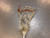 Used Warrior MINI EVO 4 Jr Atk/Mid Complete Stick White 11339-S000202337 View 2