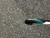Used STX IX401 FH Complete Stick Black 36 1/2" 11162-S000454608 View 5