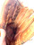 Used Dudley PRO BB/SB Glove RH Throw Brown 13" 11860-C000309321 View 9