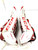 Used CCM EFLEX 4.5 Goalie Leg Pads Junior White 28" 11860-S000309358 View 5