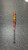 Used Louisville Slugger LXT BB/SB Fastpitch Bat 33" 11831-S000033617 View 2