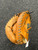 Used Champro CPX-505 BB/SB Catchers LH Throw Brown 32" 11726-S000296434 View 3
