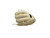 USED MARUCCI ASENSION BB/SB GLOVE RH THROW BROWN 11 1/4" 11916-S000039890 View 1