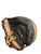 Used Mizuno PROSPECT 32.5 BB/SB Catchers RH Throw Black 32 1/2" 11842-S000230075 View 1