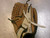 Used Mizuno POWER CLOSE BB/SB Glove RH Throw Brown 11 1/2" 11339-S000202459 View 1