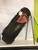 Used Top Flite MENS GOLF BAG Mens Stand Bag Brown 11900-S000024407 View 1