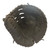 Used Rawlings RENEGADE FB MITT BB/SB First Base RH Throw Black 11 1/2" 11747-S000278385 View 1