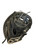 Used Mizuno PROSPECT SELECT BB/SB Catchers RH Throw Black 33 1/2" 11884-S000064305 View 3