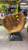 Used Wilson A9813 BB/SB Glove LH Throw Brown 13 1/2" 11477-S000212592 View 2