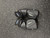Used ONYX Lacrosse Arm Pads/Guards Black LG 11162-S000455250 View 1
