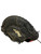 Used Rawlings RENEGADE BB/SB First Base LH Throw Black 12 1/2" 11884-S000064373 View 3