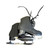 Used Jackson ARTISTE Women’s figure Skate Black Senior 12 View 2