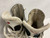 Used VIC USA Senior Hockey Skate Senior 10 11855-S000204367 View 2