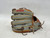 Used Wilson A2000 PEDROIA DP15 BB/SB Glove RH Throw Grey 11 3/4" 11879-S000021241 View 2
