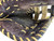 Used Mizuno GXF 90B2 BB/SB First Base RH Throw Brown 12 1/2" 11721-S000284126 View 3