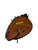 Used Wilson A2000 BB/SB First Base LH Throw Brown 12.25” View 1