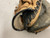 Used Mizuno Power Close GXC105 Baseball Catchers RH Throw Black And Tan 32 1/2" 11855-S000204437 View 4