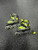 Used Schwinn Child Aggressive Skates Yellow Adjustable 11849-S000040359 View 1
