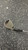 Used Bombtech Golf Golf Wedge Mens RH 56 Degree 11162-C000455527 View 4