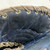 Used Brians OUTLAW JR Junior Goalie Catcher Navy And White 11855-S000204486 View 3