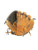 Used Easton PARAGON YTH BB/SB Glove RH Throw Brown 11 1/2" 11814-S000397368 View 3