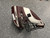 Used Adidas CLIMA LITE Catchers Helmet w/Mask Maroon XL 11162-S000455685 View 3
