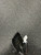Used Rawlings PL129FB BB/SB Glove RH Throw Black 11" 11726-S000296778 View 1