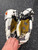 Used Warrior KING 3 Lacrosse Gloves Mens White LG 11162-S000455721 View 5
