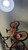 Used Mongoose MUTANT BMX Bike Boys Orange 16" 11605-S000220302 View 1